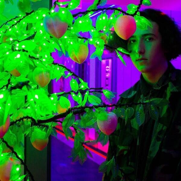 10 Potret Frankie Jonas, Adik Jonas Brothers yang Keren Banget!