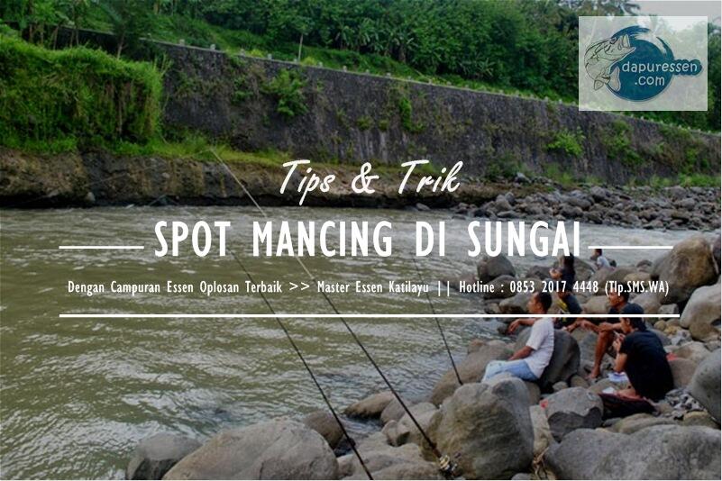 Cara Memilih Spot Mancing Di Sungai Paling Tepat!