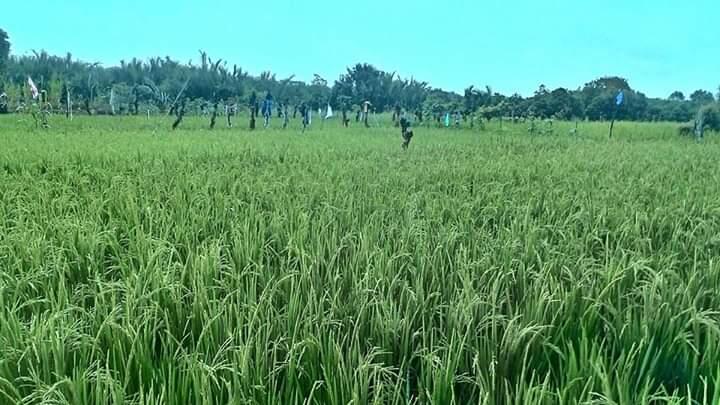 Tempat Biasa, Memberi Inspirasi Luar Biasa! Ini Sumber Inspirasiku, Kalau Kalian?