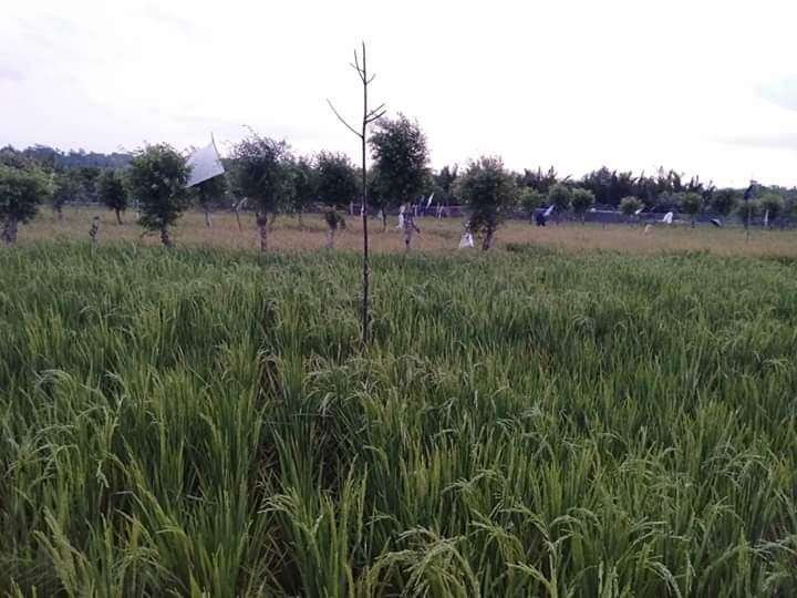 Tempat Biasa, Memberi Inspirasi Luar Biasa! Ini Sumber Inspirasiku, Kalau Kalian?