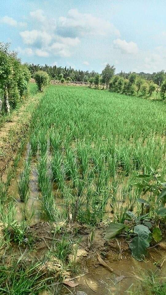 Tempat Biasa, Memberi Inspirasi Luar Biasa! Ini Sumber Inspirasiku, Kalau Kalian?