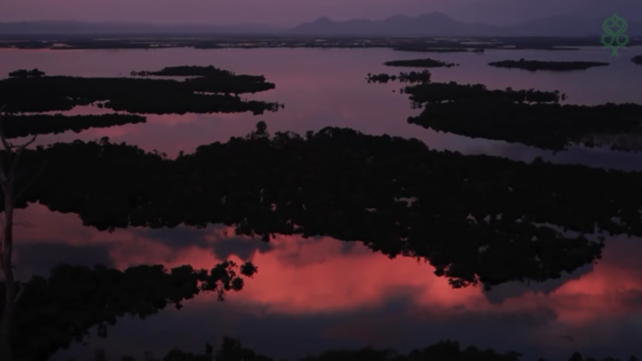 Wisata Lokal: Pesona Danau Sentarum yang Menyimpan Beragam Spesies Langka 