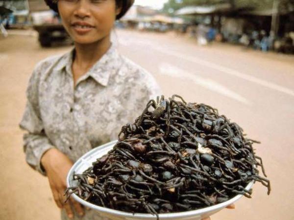 Ada Yang Mau Coba Makanan Ini?