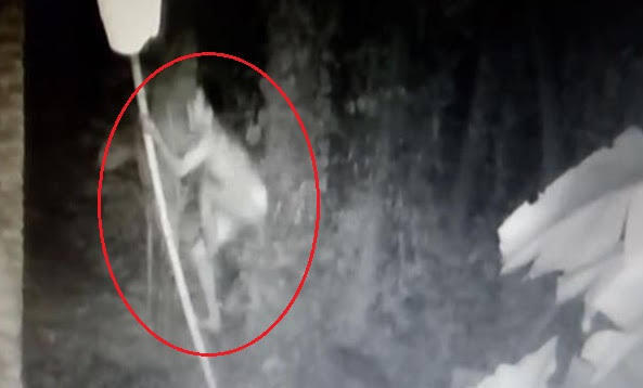 Pencuri Ini Tanpa Busana dan Mengaku Tidak Kelihatan, CCTV gak bisa dibohongi?