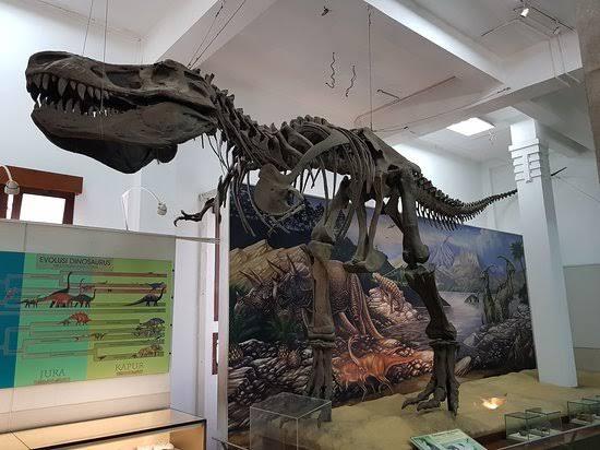 Mengagumi Dan Belajar Tentang Indonesia Di Museum Geologi