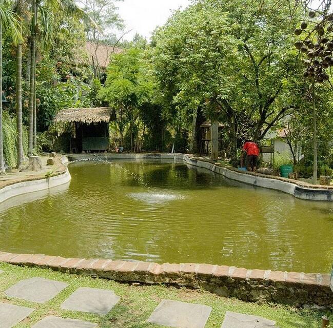 Keboen Iboe: Perpaduan Perkebunan &amp; Peternakan yang Bisa Dijadikan Runaway Place
