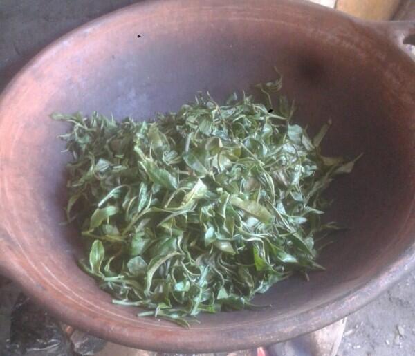 Selain Manggis, White Tea Asal Purwakarta Dilirik Pasar Asia dan Eropa