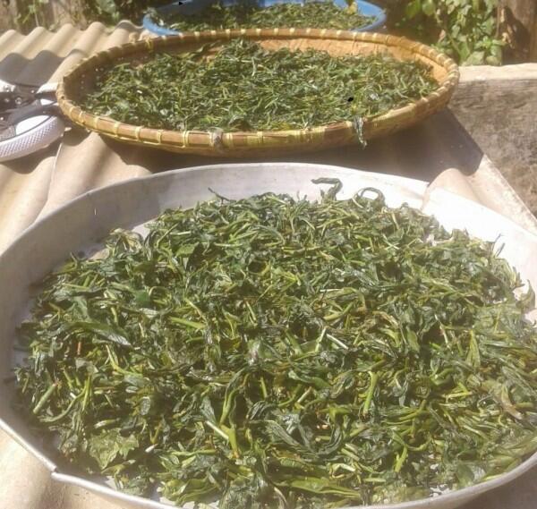 Selain Manggis, White Tea Asal Purwakarta Dilirik Pasar Asia dan Eropa