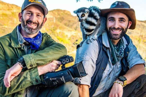 Selain NatGeo, Ini 7 Kanal YouTube Terbaik untuk Para Pecinta Hewan