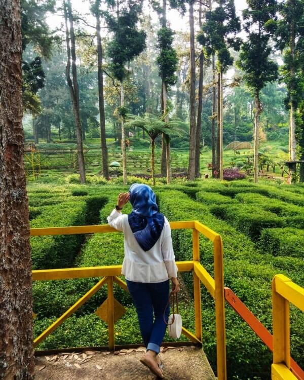 7 Lokasi Wisata Wajib di Purwokerto, Ada Toko Roti Tertua Lho!