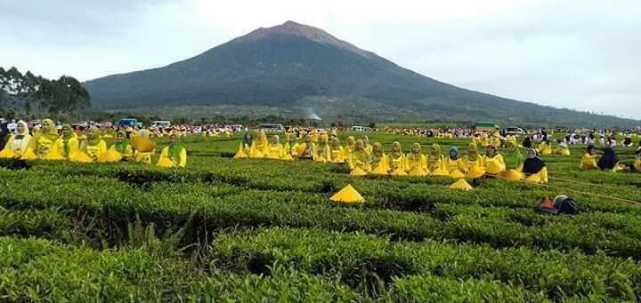Tour de Singkarak 2019, Etape 7-8 Kerinci Jambi Jadi Rute Terindah. Pecah Rekor MURI!