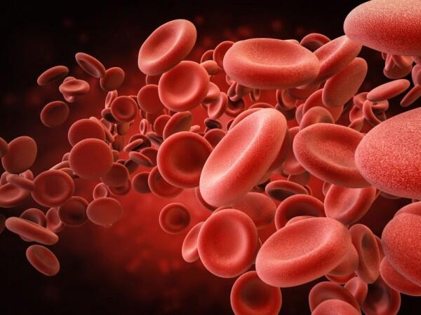 Anemia Ternyata Bisa Menyebabkan Rambut Rontok, Ini Fakta Medisnya