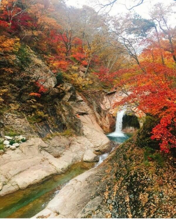 5 Pesona Air Terjun Terindah di Korea Selatan, Cocok Buat Hunting Foto