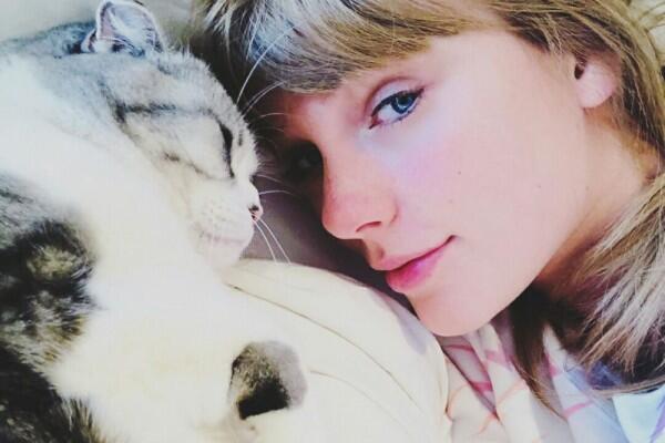 11 Potret Taylor Swift dan Kucing Kesayangan, Sama-sama Bikin Gemas