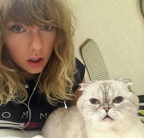 11 Potret Taylor Swift dan Kucing Kesayangan, Sama-sama Bikin Gemas