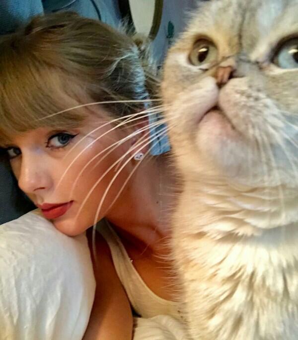 11 Potret Taylor Swift dan Kucing Kesayangan, Sama-sama Bikin Gemas