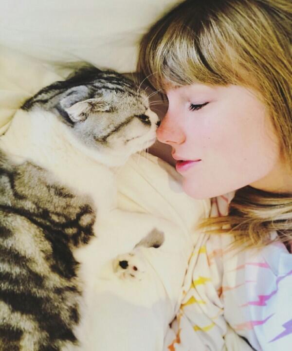11 Potret Taylor Swift dan Kucing Kesayangan, Sama-sama Bikin Gemas