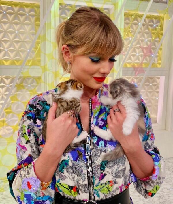 11 Potret Taylor Swift dan Kucing Kesayangan, Sama-sama Bikin Gemas