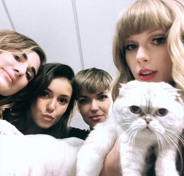 11 Potret Taylor Swift dan Kucing Kesayangan, Sama-sama Bikin Gemas