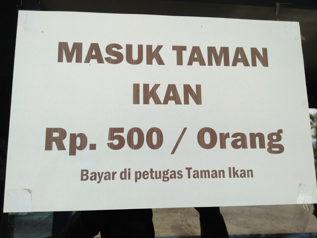 Mau Melihat Bermacam Ikan yang Harga Tiketnya Murah Kebangetan? Disini 500 Perak Saja