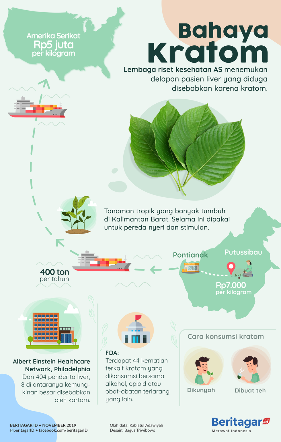 Infografik: Dilema kratom, pencaharian warga, bahaya bagi pengguna
