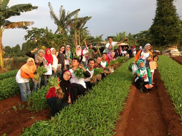 Komunitas Berkebun, Inspirasi Cerdas Memanfaatkan Lahan Kosong Di Lingkungan Sekitar