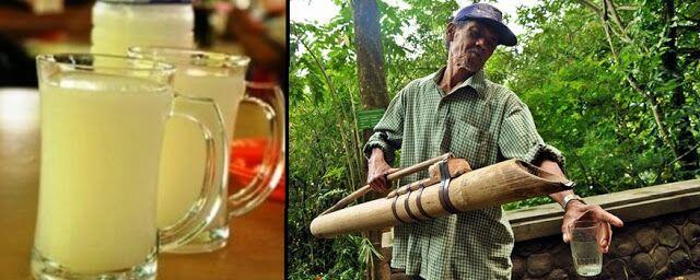 Lahang, Minuman Khas Indonesia Yang Berkhasiat, Dan Upaya Konservasi Lingkungan