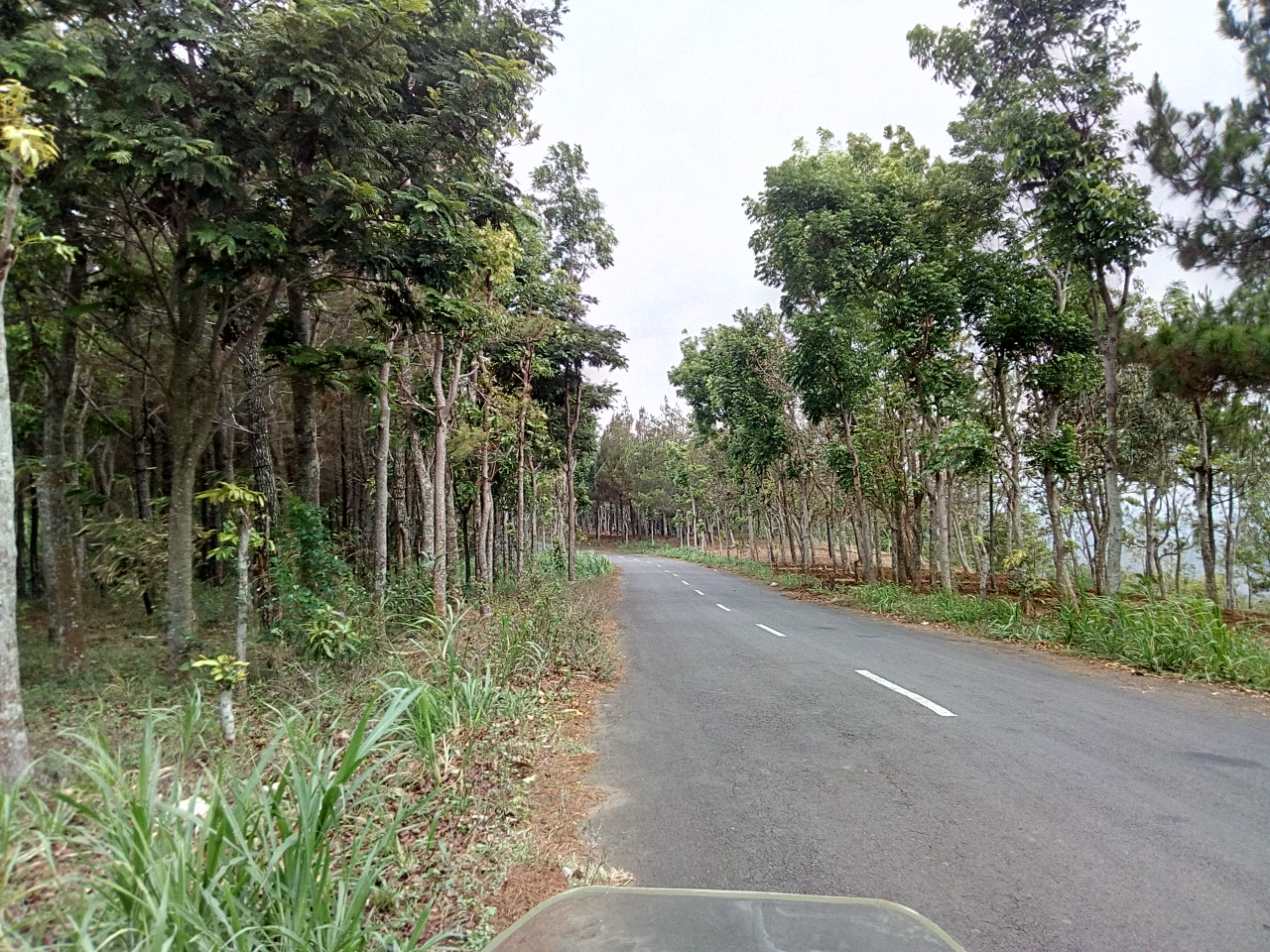 Pesona Air Terjun Irenggolo Dan Air Terjun Dholo