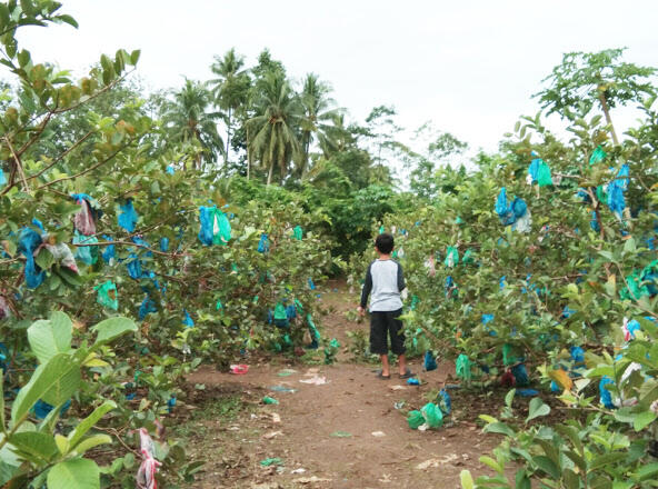 Galau? Tempat Inspiratif Yang Satu Ini Dijamin Bisa Bikin Ceria