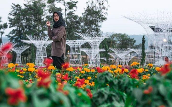 White Marine Park, Wahana Baru Yang Lagi Hits Di Celosia, Bandungan, Semarang.