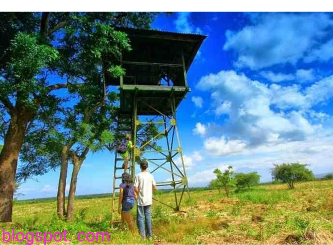 Surga Tersembunyi di Ujung Timur Pulau Jawa. 