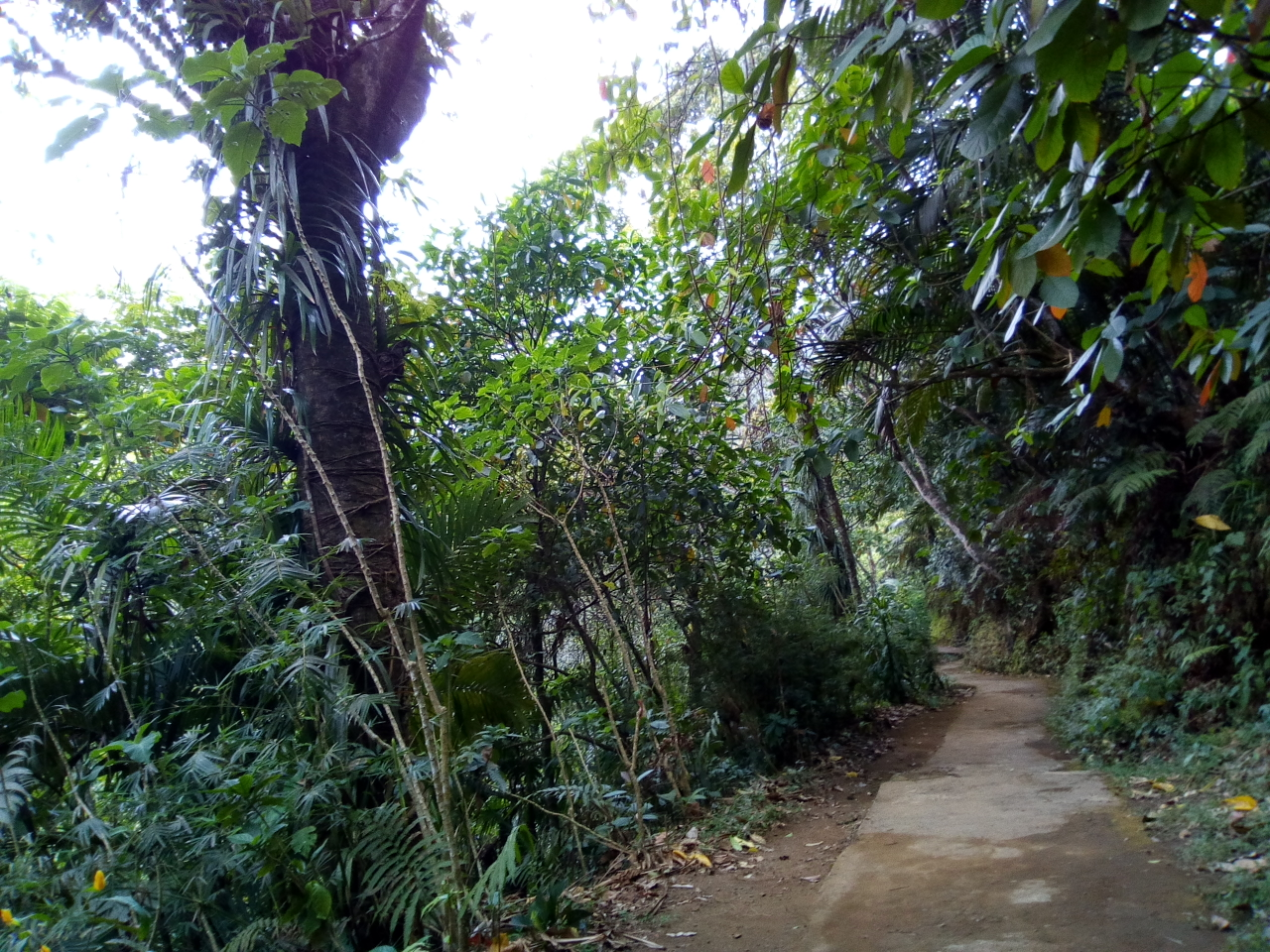 Pesona Air Terjun Irenggolo Dan Air Terjun Dholo