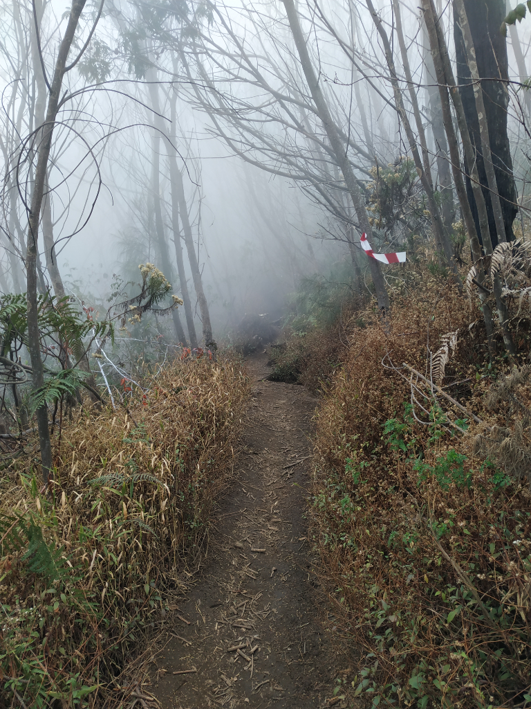 CATATAN PERJALANAN SOLO HIKING GUNUNG LAWU VIA CETHO (9-10 NOVEMBER 2019)