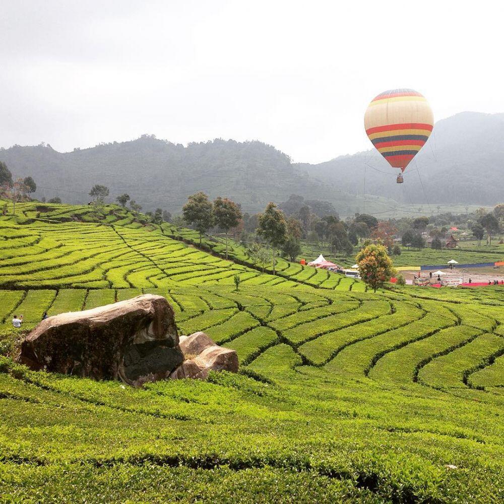 5 Tempat Wisata Balon Udara Di Indonesia Yang Nggak Kalah Kerennya Dengan Luar Negeri