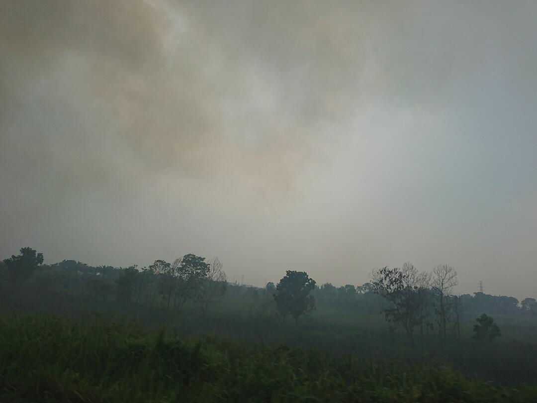 Sampai Kapan Kabut Asap ini Akan Hilang ?