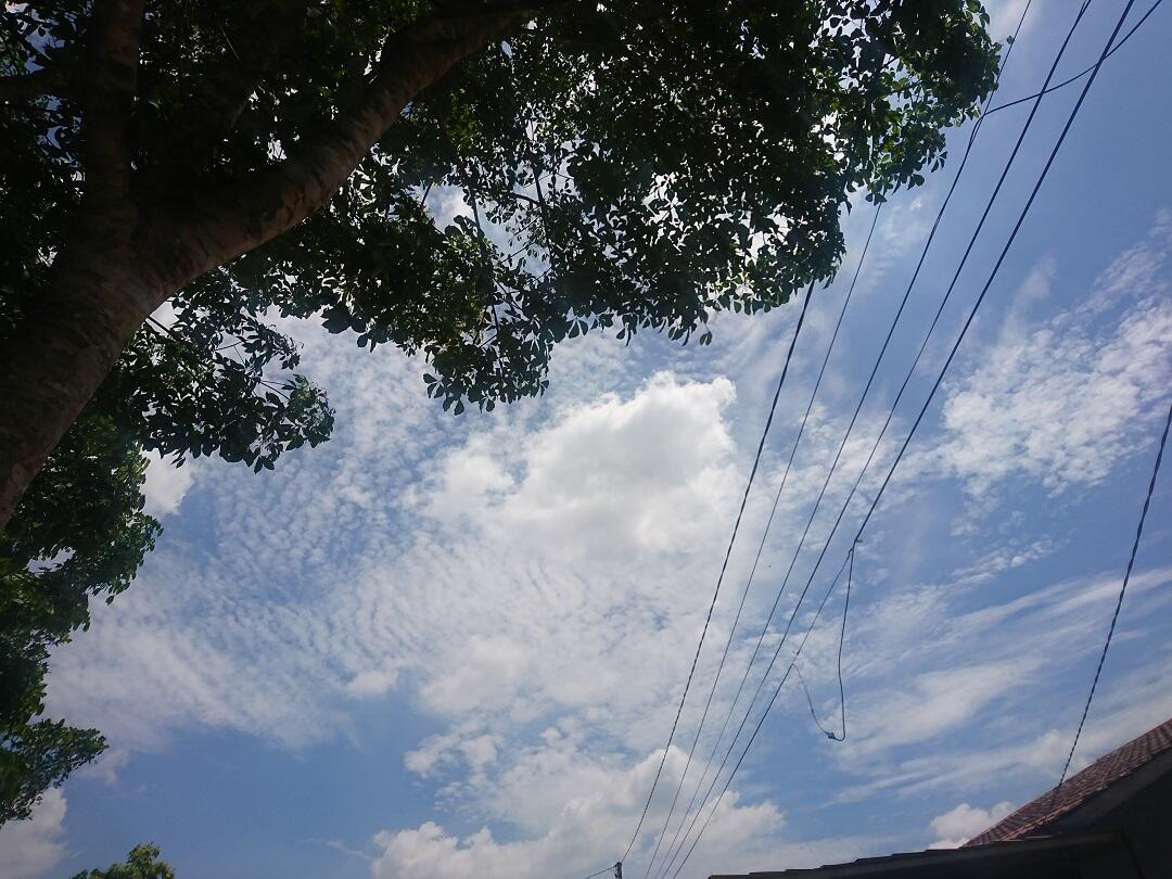 Sampai Kapan Kabut Asap ini Akan Hilang ?