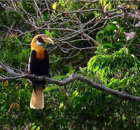 5 Aktifitas Memuaskan Di Raja Ampat
