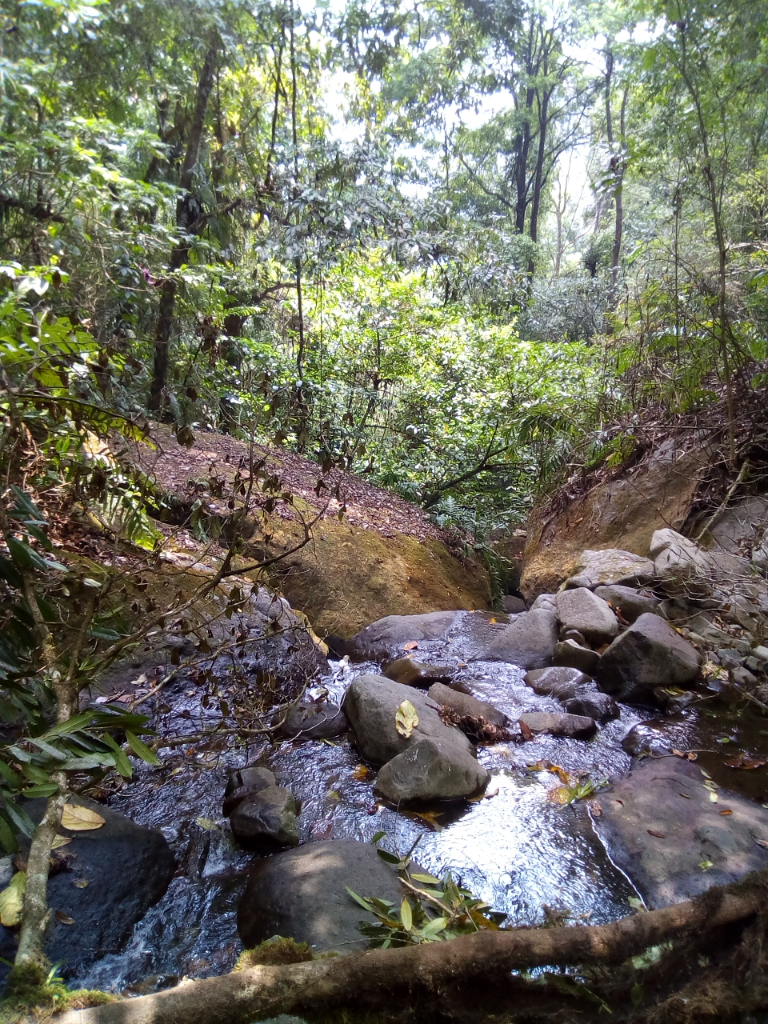 Pesona Air Terjun Irenggolo Dan Air Terjun Dholo