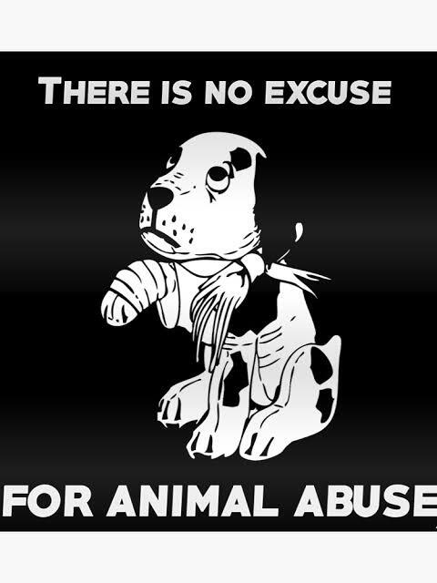 STOP Animal Abuse !