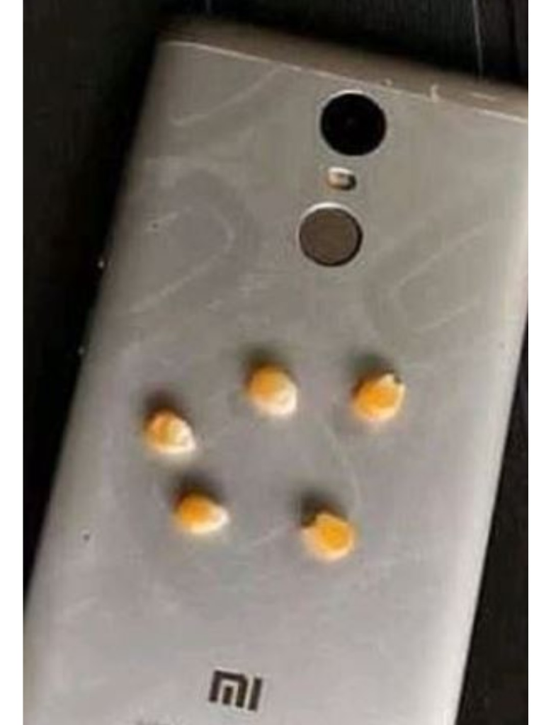 7 Penampakan iPhone 11 low budget ala warganet ini bikin ngakak