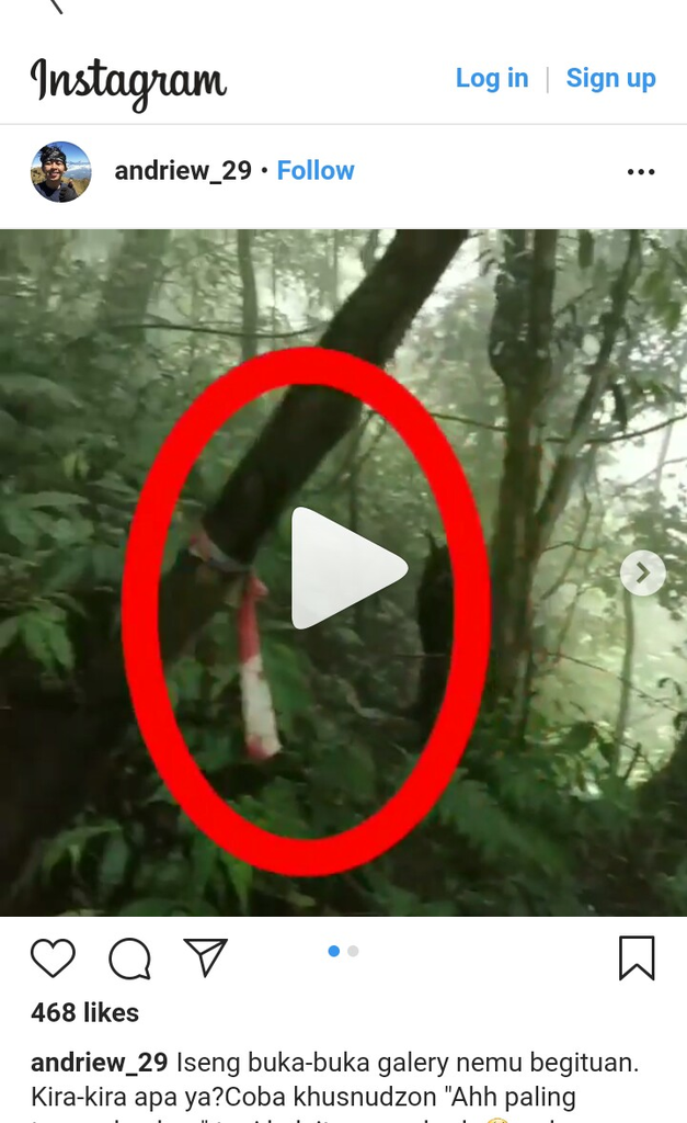 Heboh Penampakan Wujud Penuh Bulu di Ciremai