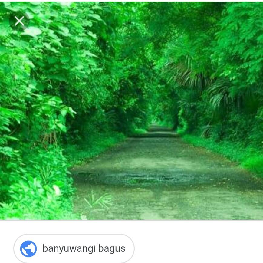 Surga Tersembunyi di Ujung Timur Pulau Jawa. 