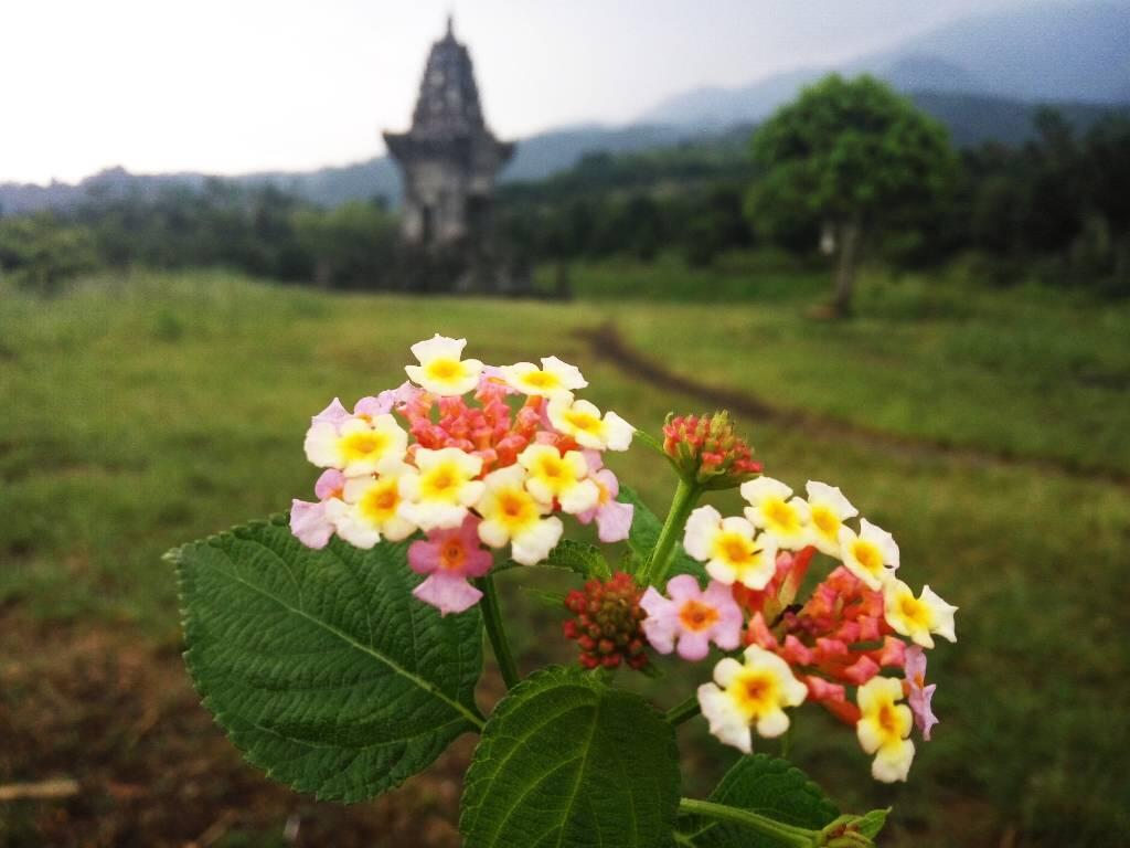 Candi Jawar 