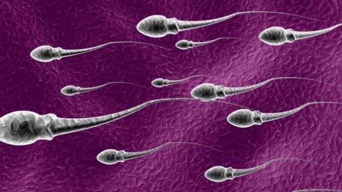 Bentuk-bentuk Pelecehan Seksual Aneh, Dari Begal Payudara Hingga Lempar Sperma