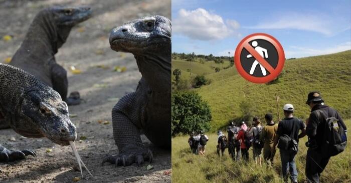 Bye Sobat Miskin, Gubernur Viktor Laiskodat Batasi NTT Hanya untuk Wisatawan Kaya