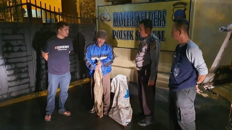 Driver Bentor Pembuang Babi Diamankan Polisi