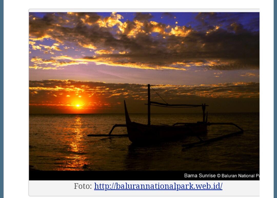 Surga Tersembunyi di Ujung Timur Pulau Jawa. 