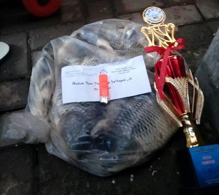Umpan Ikan Mas Anti Boncos Terbaru 2019_Mantul