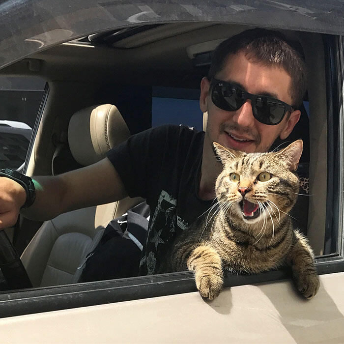 Pria Ini Selundupkan Kucing ke Kabin Pesawat, Akhirnya Kena Hukuman