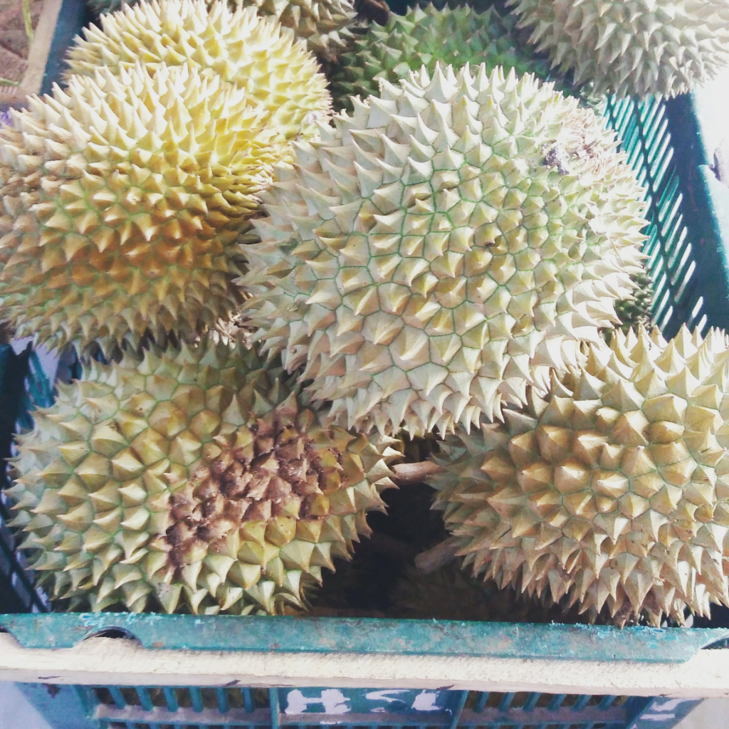 Antara Durian dan Kecewa. Bagaimana Cara Mengatasinya? Inilah Tipsnya!